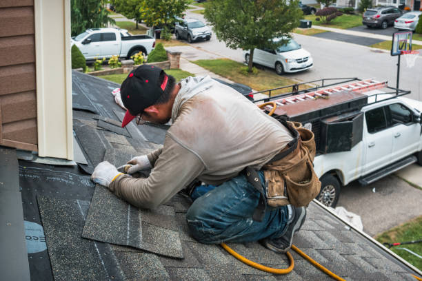 Professional Gutter Repair And Installation technician working in Patton, CA